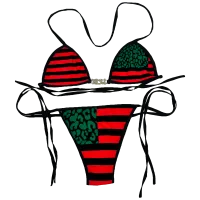 Flag Bikini – Image 1