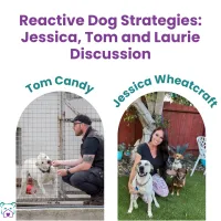 Lawless Off Leash - Reactivity in Shelters Round Table with Tom, Jessica and Laurie – Image 1