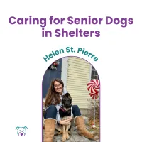 Lawless Off Leash - Caring for Senior Dogs in Shelter – Image 1