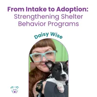 Lawless Off Leash - Strengthening Shelter Behavior Programs – Image 1