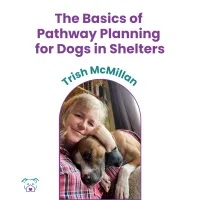 Lawless Off Leash - The Basics of  Pathway Planning  for Dogs in Shelters – Image 1