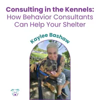Lawless Off Leash - Consulting in the Kennels: How Behavior Consultants Help Shelters – Image 1