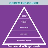 Staff Training Course: Framework of Dogs' Needs – Image 1