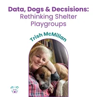 Lawless Off Leash - Data, Dogs and Decisions: Rethinking Shelter Playgroups – Image 1