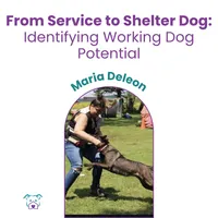 Lawless Off Leash - From Shelter to Service Dog – Image 1