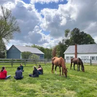 Saturday, 9/12 @ 1-3pm - Language of the Horse – Image 3