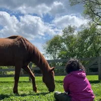 Saturday, 9/19 @ 2-4pm - Language of the Horse – Image 2