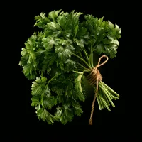 Fresh Parsley – Image 1