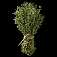 Fresh Thyme – Image 1