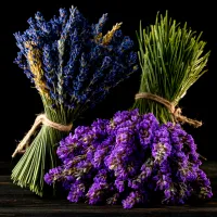 Fresh Lavender  – Image 1
