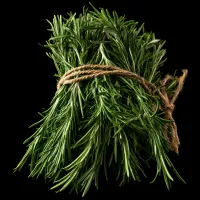 Fresh Rosemary – Image 1