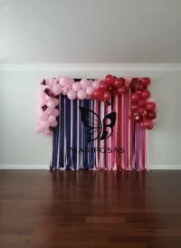 Backdrop & Party Setup → Fondo y Decoración para Fiestas – Image 1