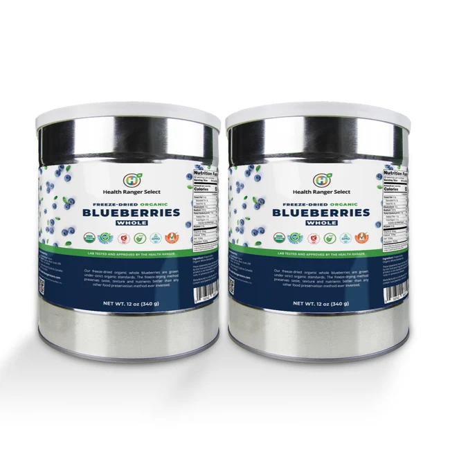 Freeze-Dried Organic Whole Blueberries (12oz, #10 can) (2-Pack) – Image 1