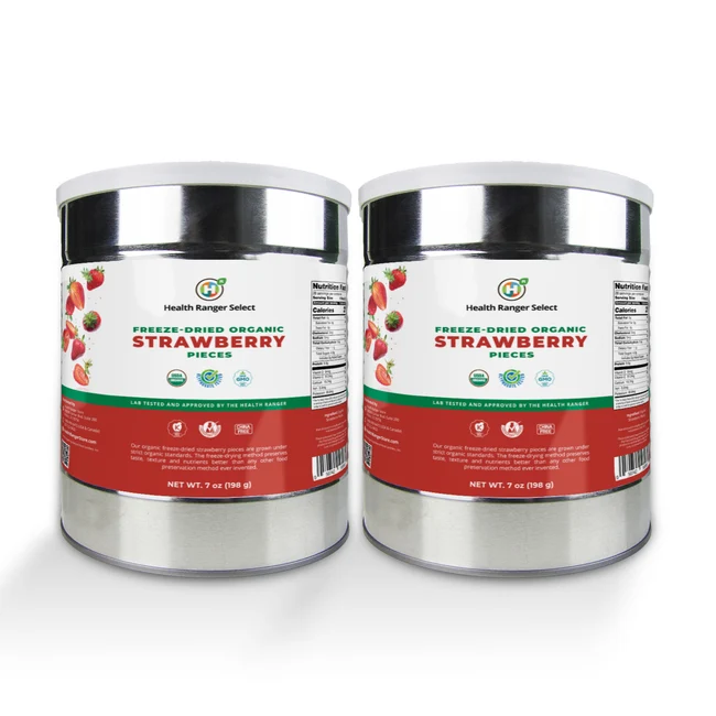 Freeze-Dried Organic Strawberry Pieces (7oz, #10 can) (2-Pack) – Image 1