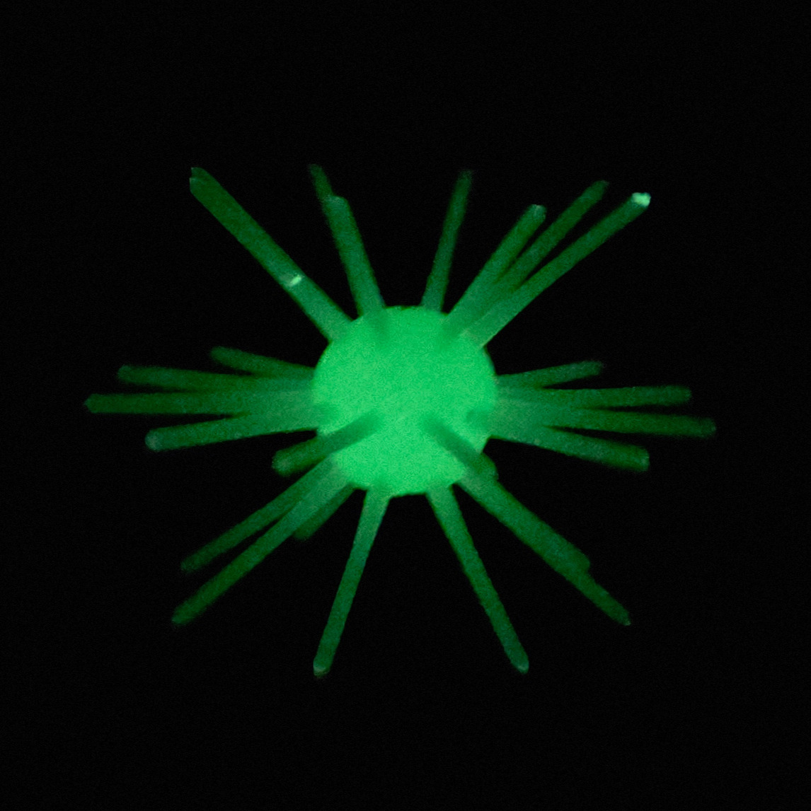 Sea Mine Urchin 2.5in - Neo Glow Green (3pk) – Image 2