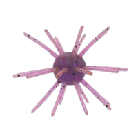 Sea Mine Urchin 2.5in - Chameleon (3pk) – Firm Plastisol (Slow Sink), 28