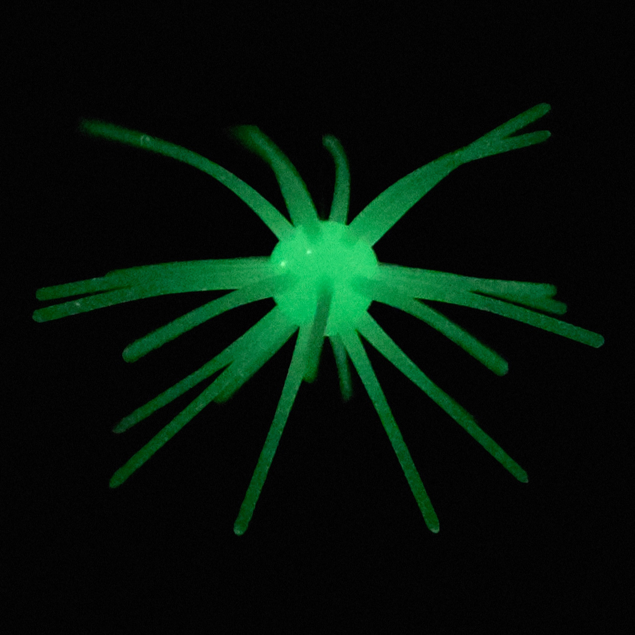 Sea Mine Urchin 4in - Neo Glow Green (3pk) – Image 3