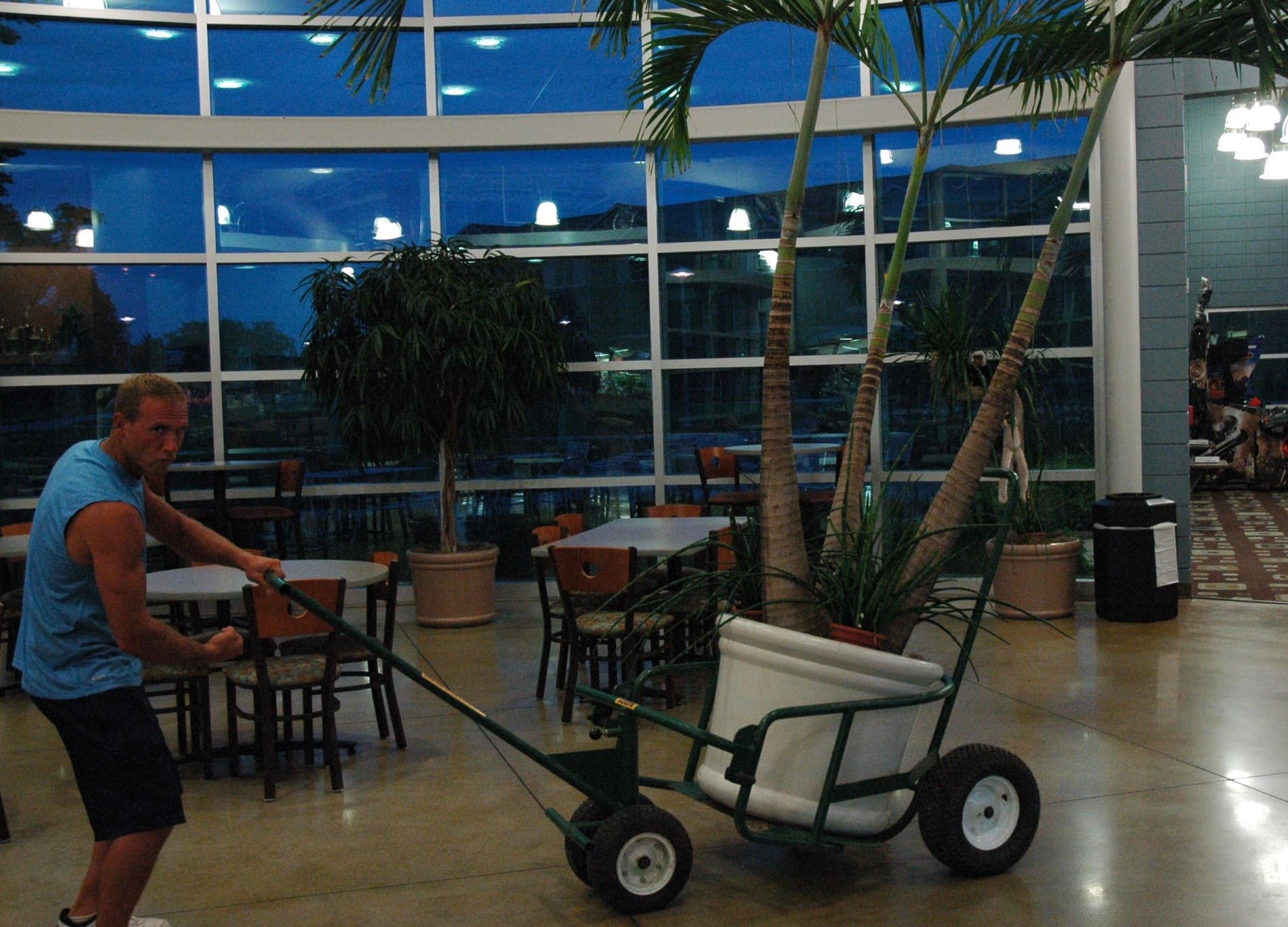 The Landscaper's Buddy Utility Cart – Image 7