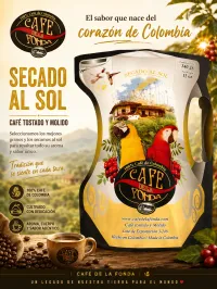 Café Tostado en Grano o Molido – Image 2