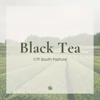 Black Tea - CTF South Pasture – Image 1