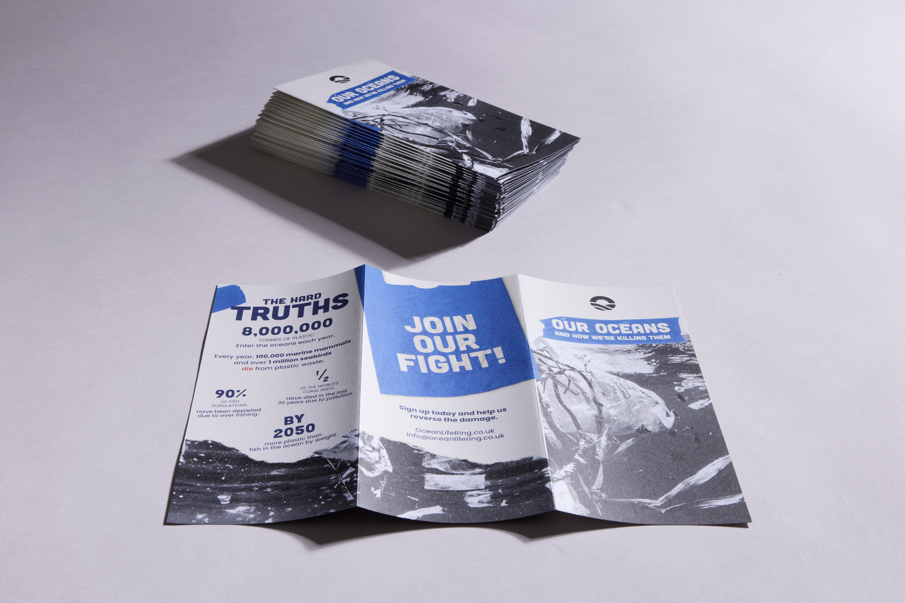 DL 6pp Flyers – Image 2