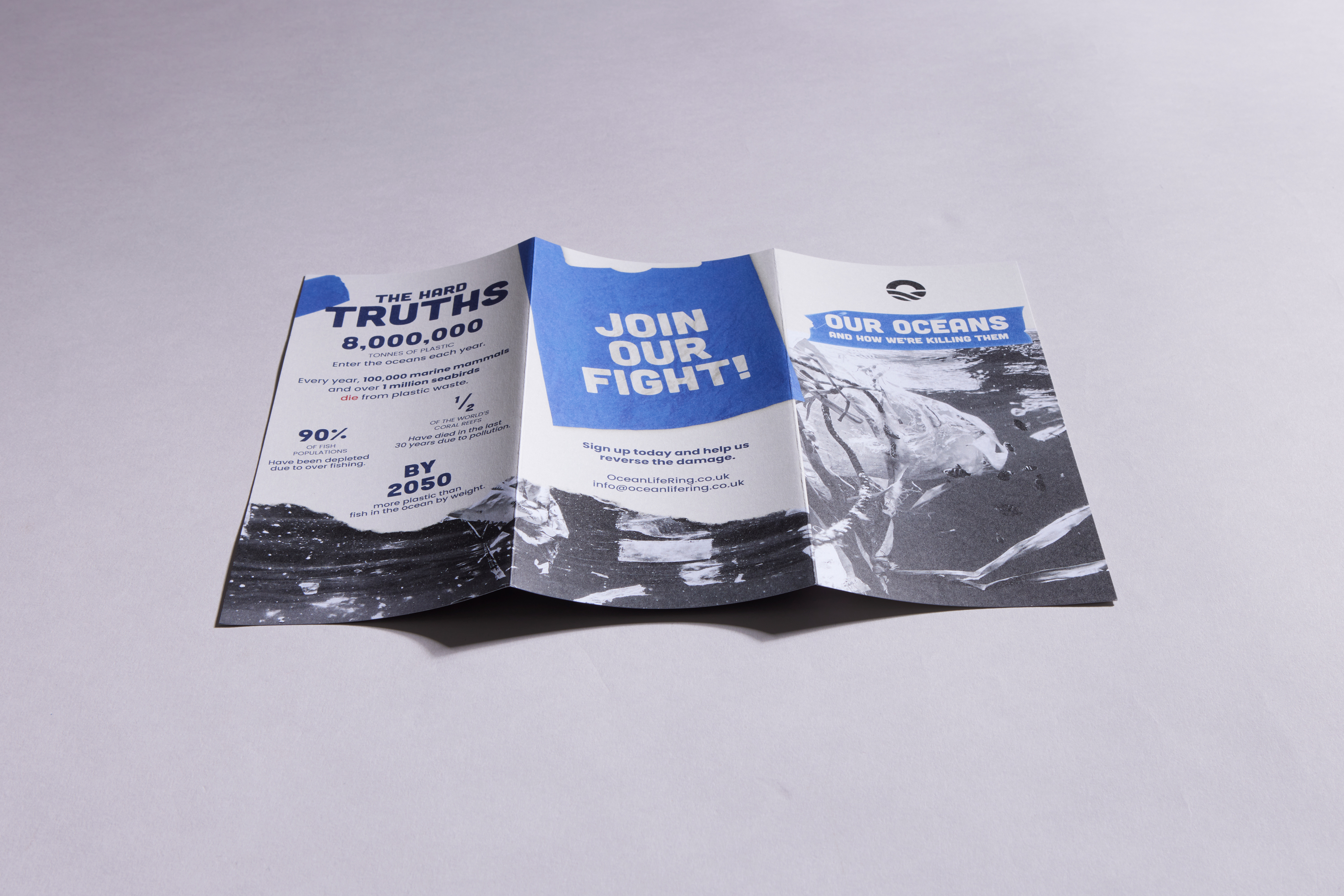 DL 6pp Flyers – Image 4