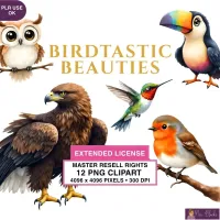 Realistic Bird Collection Clipart PNG - Extended License – Image 1