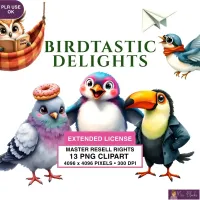 Whimsical Bird Characters Clipart PNG - Extended License – Image 1