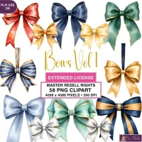 Decorative Bow Collection Clipart PNG - Extended License – Image 1