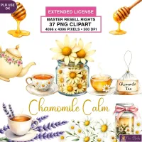 Herbal Tea Clipart PNG - Extended License – Image 1