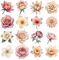 Floral Bloom Clipart PNG - Extended License – Image 2