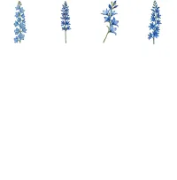 Blue Floral Clipart PNG - Extended License – Image 3