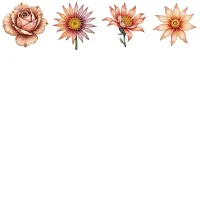 Golden Floral Clipart PNG - Personal Use License – Image 3