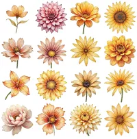 Golden Floral Clipart PNG - Personal Use License – Image 2