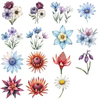 Autumn Floral Clipart PNG - Extended License – Image 2