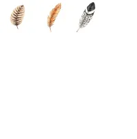 Colorful Feather Clipart PNG - Extended License – Image 4