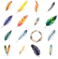 Colorful Feather Clipart PNG - Extended License – Image 2