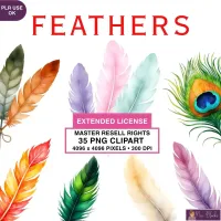 Colorful Feather Clipart PNG - Extended License – Image 1