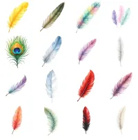 Colorful Feather Clipart PNG - Extended License – Image 3