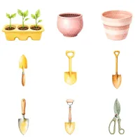 Garden Plant Clipart PNG - Extended License – Image 4