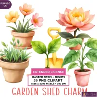 Garden Plant Clipart PNG - Extended License – Image 1