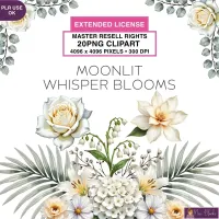 Elegant White Floral Clipart PNG - Extended License – Image 1