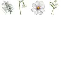 Elegant White Floral Clipart PNG - Personal Use License – Image 3