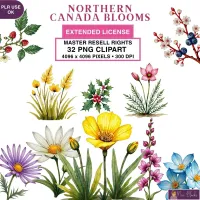 Wildflower Botanical Clipart PNG - Extended License – Image 1