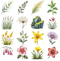 Wildflower Botanical Clipart PNG - Extended License – Image 3