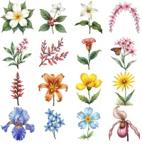 Autumn Garden Floral Clipart PNG - Extended License – Image 2