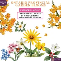 Autumn Garden Floral Clipart PNG - Extended License – Image 1