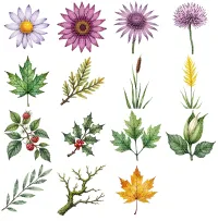 Autumn Garden Floral Clipart PNG - Extended License – Image 3