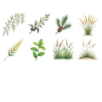 PEI Floral Garden Clipart PNG - Extended License – Image 4