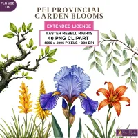 PEI Floral Garden Clipart PNG - Extended License – Image 1